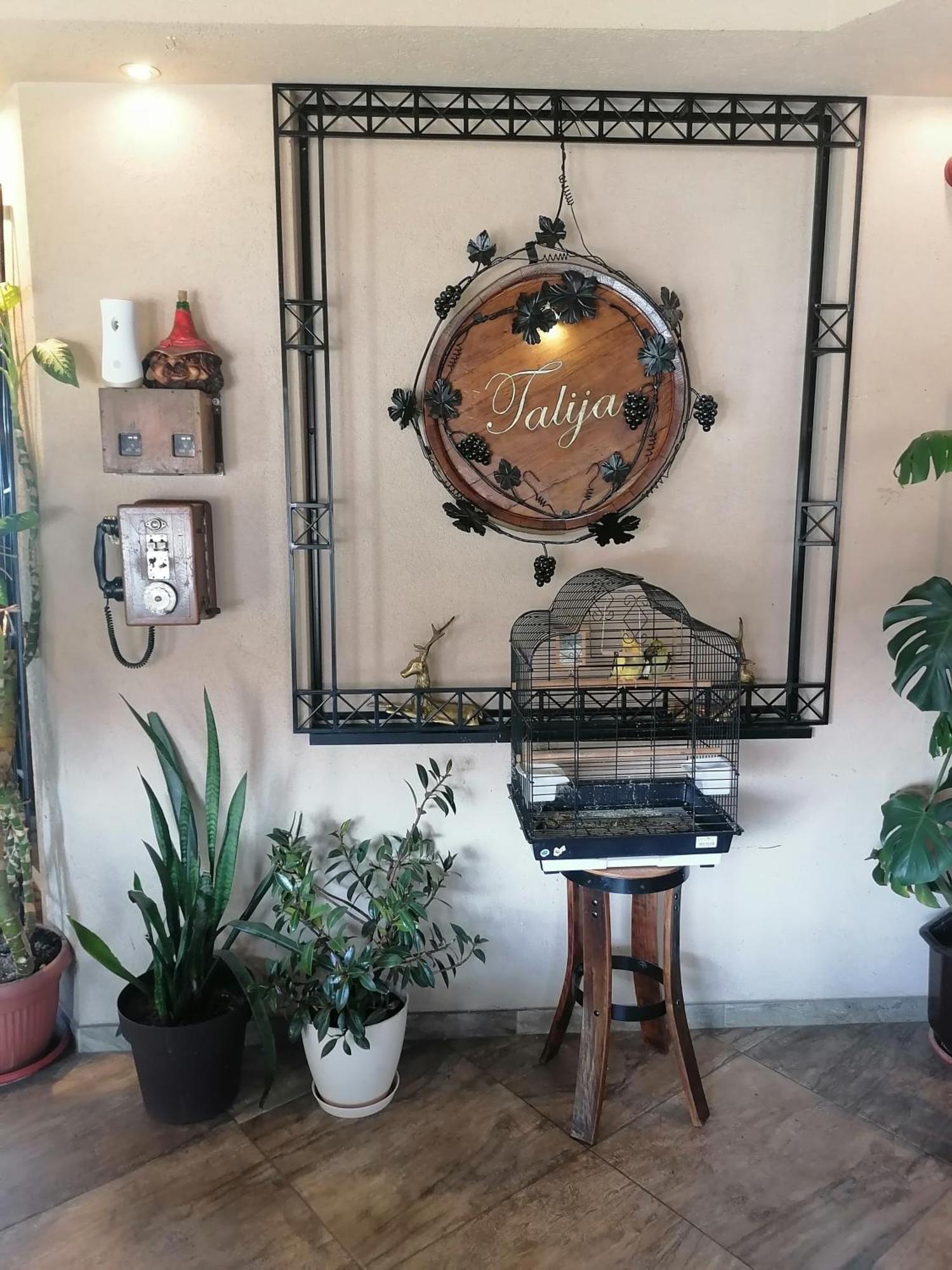 Svilajnac Hotel Talija מראה חיצוני תמונה